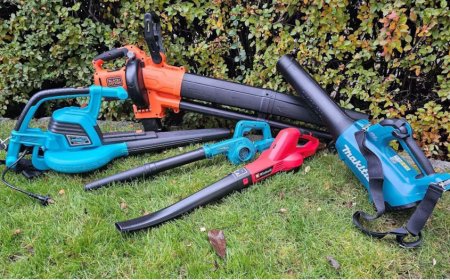 Laubbläser Test 2025 – Die besten Akku-, Elektro- & Benzin-Laubbläser im Vergleich