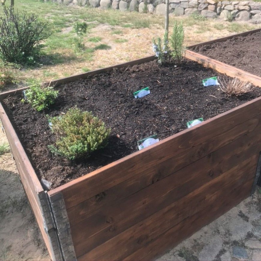 Was pflanze ich im Oktober ins Hochbeet?